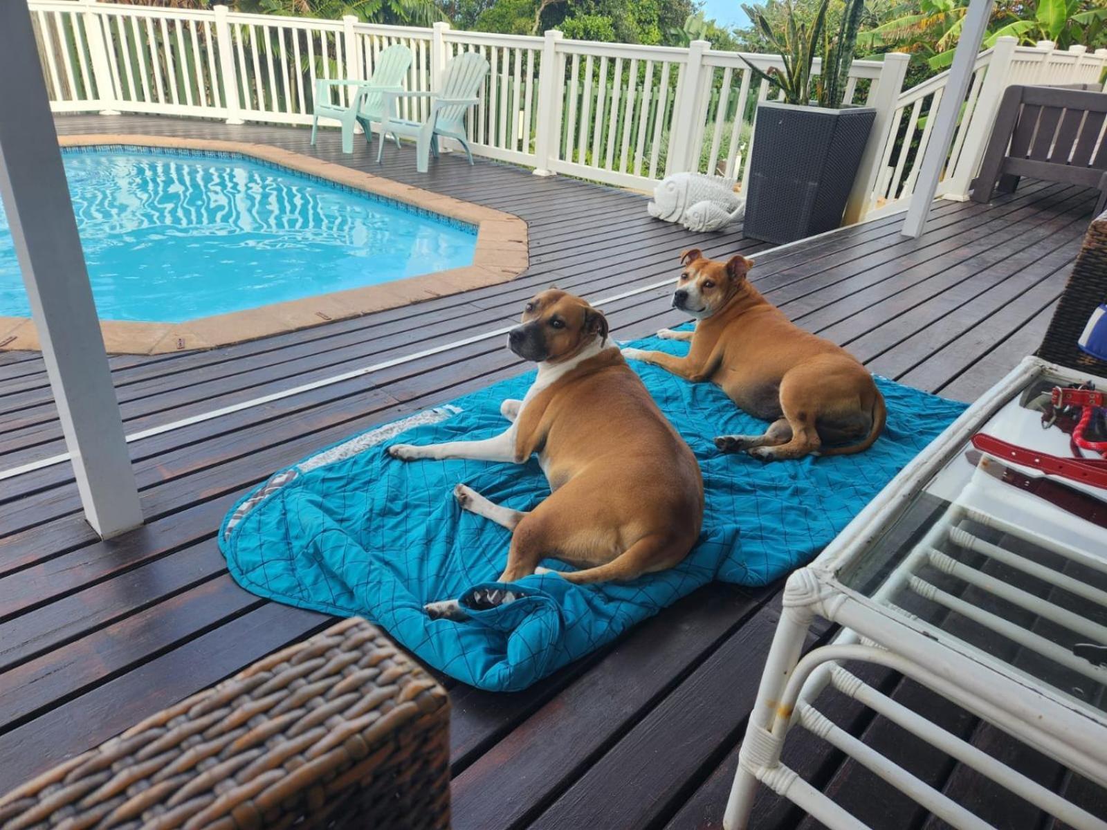 Holiday home Seagulls House Port Shepstone