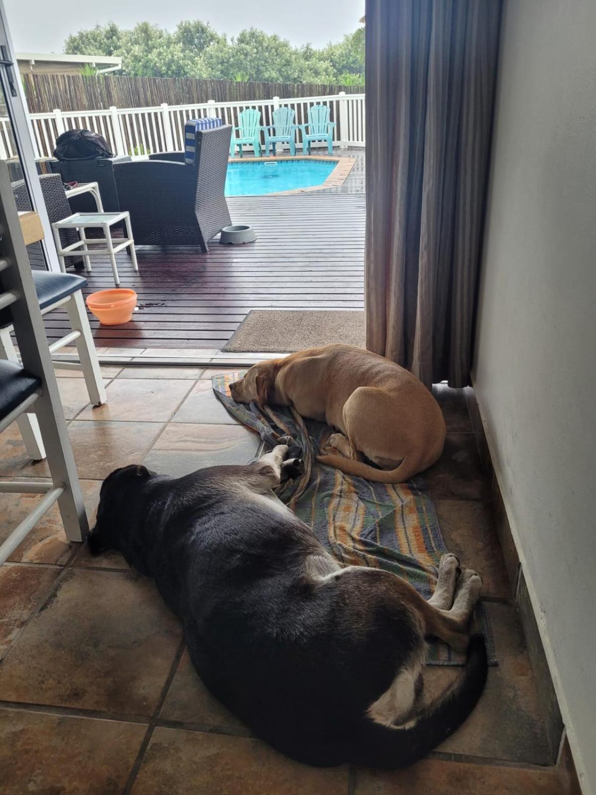 Holiday home Seagulls House Port Shepstone